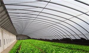 2Kaiyun 开云022计算机系统集成行业现状与市场发展前景趋势分析(图5)