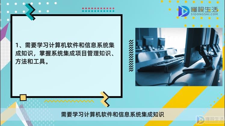 开云 开云体育平台什么是系统集成项目管理工程师要学的(图1)