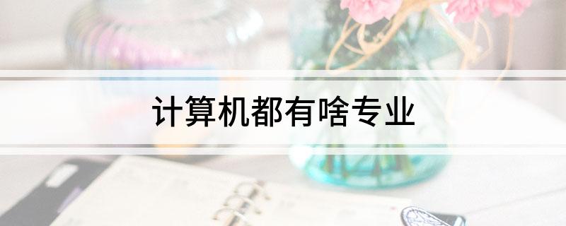 计开云体育 开云平台算机都有啥专业(图1)