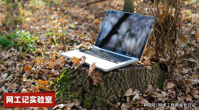 开云体育 Kaiyun.com 官网入口华为网络工程师hcip认证这个证书的含金量怎么样(图2)