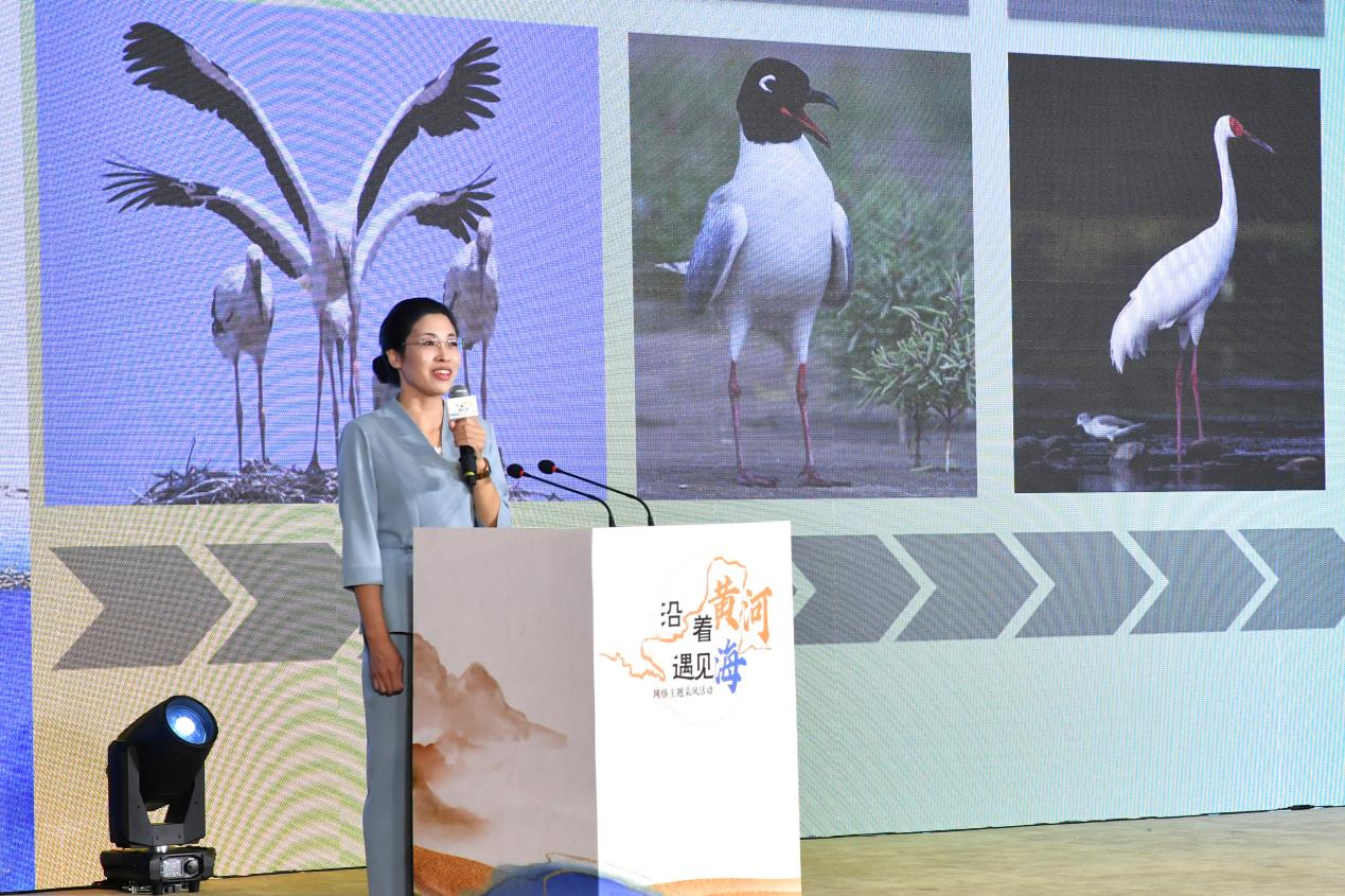 “沿着黄河遇见海”网络主题采风活动在山东东营启开云APP 开云官网入口动(图4)