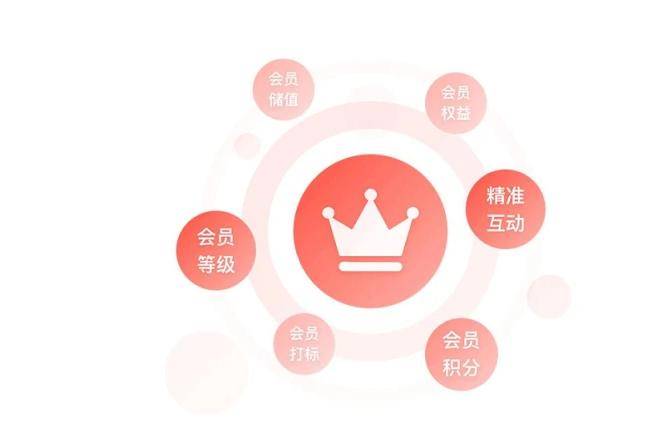 虚拟资源网站搭建副业项目日赚1000开云体育 开云官网(图3)