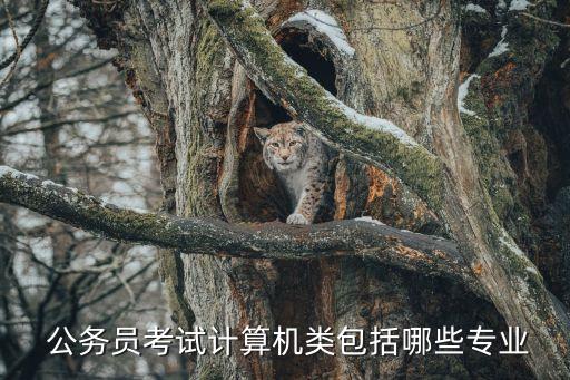 开云 开云体育平台物联网工程考什么公务员(图2)