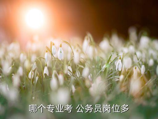 开云 开云体育平台物联网工程考什么公务员(图3)